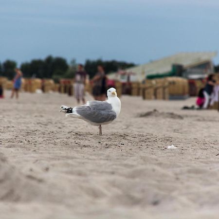 Ferienwohnungen-Neue-Tiefe-Wohnung-Kleiderbuegel Neue Tiefe Fehmarn Extérieur photo