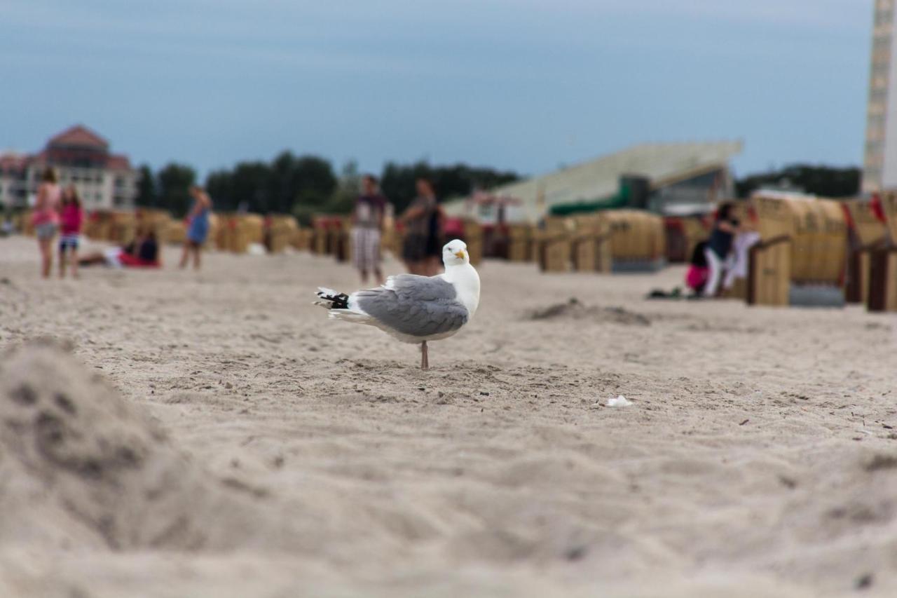 Ferienwohnungen-Neue-Tiefe-Wohnung-Kleiderbuegel Neue Tiefe Fehmarn Extérieur photo